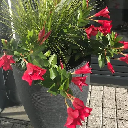 Hébergement de vacances Haus Andrea Klosterle am Arlberg