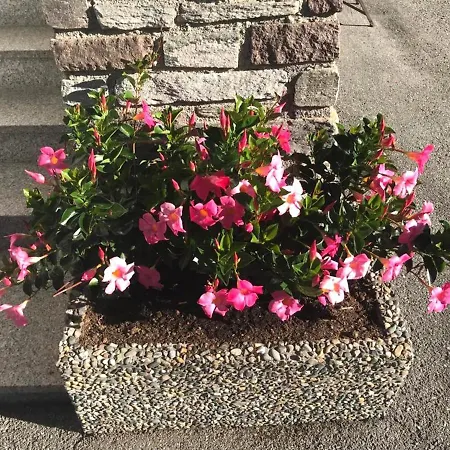 Haus Andrea Hébergement de vacances *