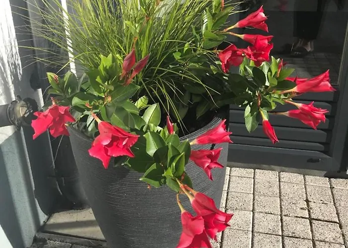 Prázdninový dům Haus Andrea Klosterle am Arlberg