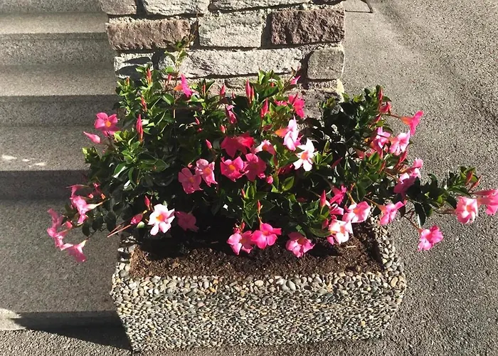 Haus Andrea Prázdninový dům *